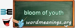 WordMeaning blackboard for bloom of youth